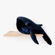 Load image into Gallery viewer, BigStuffed Night Whale