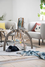 Load image into Gallery viewer, Sebra Red Dot Design Winner - Warm Grey Baby Gym