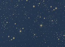 Load image into Gallery viewer, Nobodinoz Bamboo Toy Bag in Gold Stella / Night Blue
