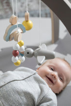 Load image into Gallery viewer, Sebra Red Dot Design Winner - Warm Grey Baby Gym
